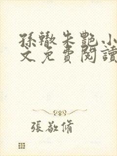 孙辙朱艳小说全文免费阅读