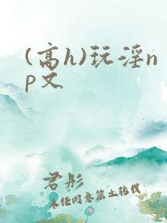 (高h)玩淫np文