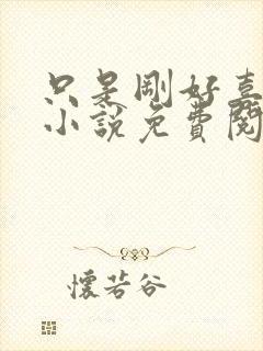 只是刚好喜欢你小说免费阅读全文