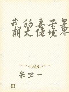 我的妻子是大乘期大佬境界