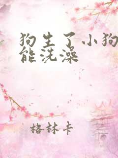 狗生了小狗多久能洗澡