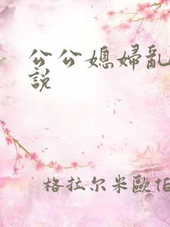 公公媳妇乱欲小说
