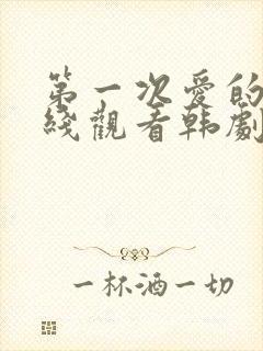 第一次爱的人在线观看韩剧免费高清
