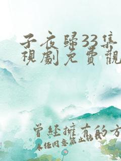 子夜归33集电视剧免费观看