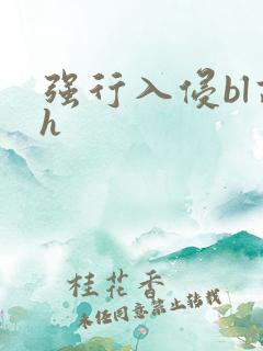 强行入侵bl高h