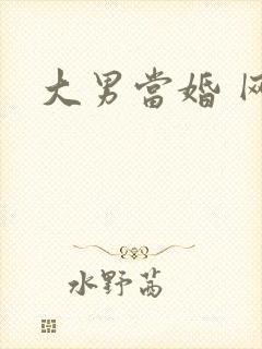 大男当婚 网盘