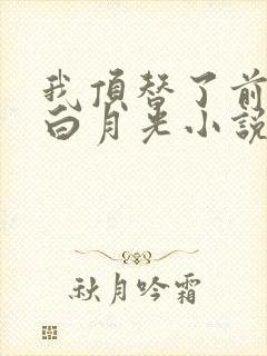 我顶替了前夫的白月光小说免费阅读