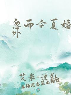 忽而今夏婚后番外
