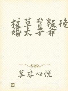 校草背叛后我闪婚太子爷