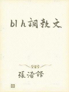 bl h调教文
