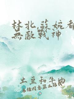林北,苏婉都市无敌战神