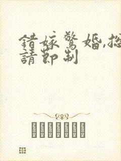 错嫁惊婚,总裁请节制