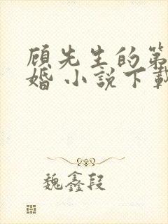 顾先生的第一宠婚 小说下载txt