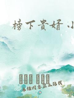 榜下贵婿 小说
