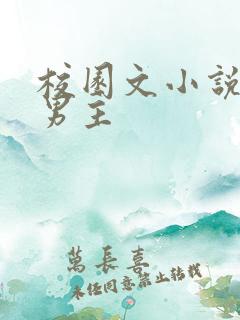 校园文小说校霸男主