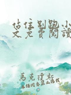 站住别跑小说全文免费阅读