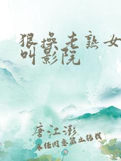 狠操老熟女嗷嗷叫影院
