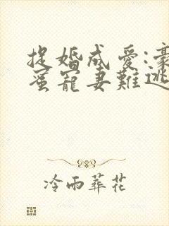 捉婚成爱:豪门蜜宠妻难逃