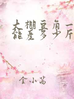 大棚豆角一亩地能产多少斤