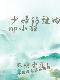 少妇的被肉日常np小说