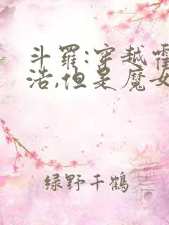 斗罗:穿越霍雨浩,但是魔女途径我也太