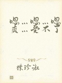 嗯…嗯…嗯…好爽…受不了