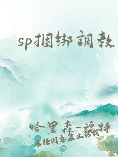 sp捆绑调教文