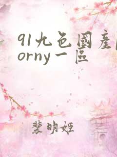 91九色国产porny一区