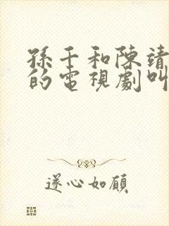 孙千和陈靖可演的电视剧叫什么