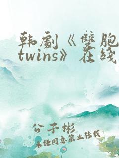 韩剧《双胞胎/twins》在线观看