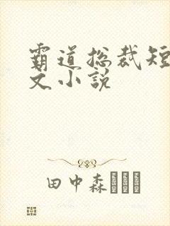 霸道总裁短篇甜文小说