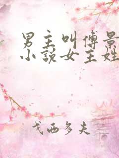 男主叫傅景琛的小说女主姓夏