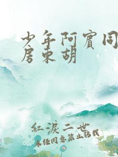 少年阿宾同人之房东胡