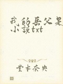 我的岳父是崇祯小说txt