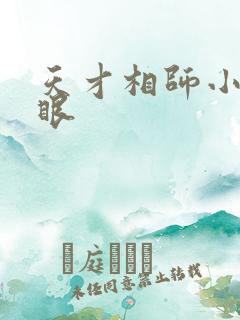 天才相师小说打眼