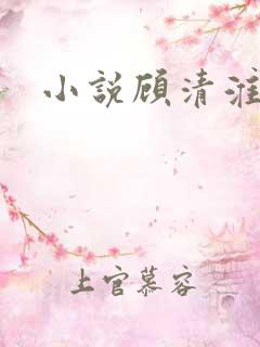 小说顾清淮陈禾