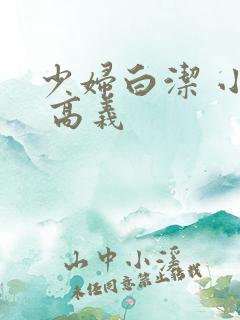 少妇白洁 小说 高义