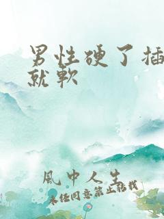 男性硬了插一会就软