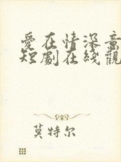 爱在情深意晚时短剧在线观看免费高清