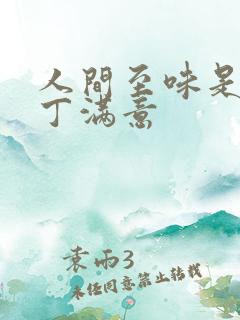 人间至味是清欢丁满意