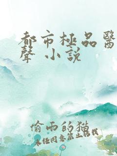 都市极品医神有声 小说