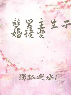 双男主生子文先婚后爱