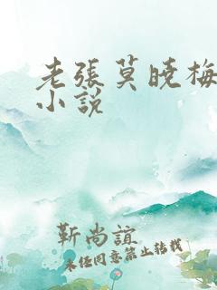 老张莫晓梅笔趣小说