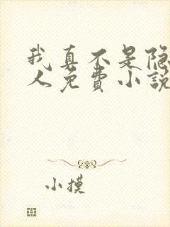 我真不是隐世高人免费小说
