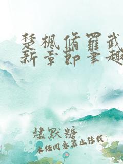 楚枫修罗武神最新章节笔趣阁