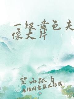 一级黄色夫妻录像大片