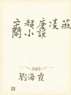宋超唐凌薇笔趣阁小说
