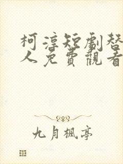 柯淳短剧替身夫人免费观看