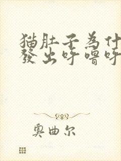 猫肚子为什么会发出呼噜呼噜的声音