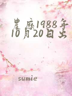 农历1988年10月20日出生生辰八字
